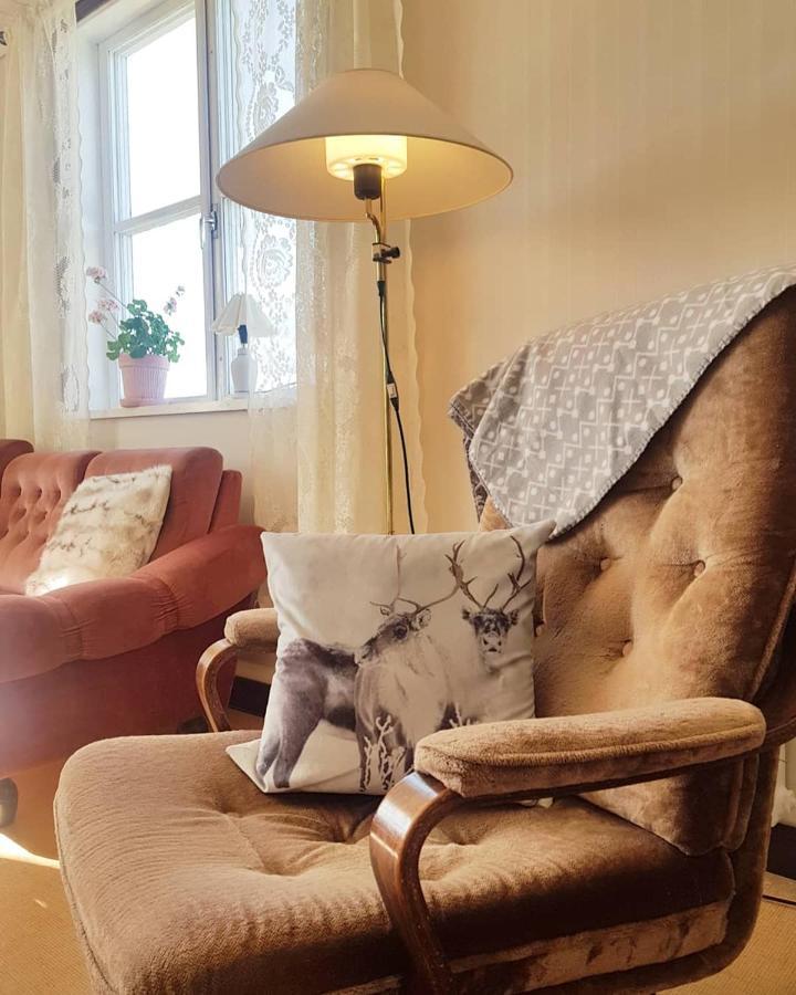 Jaerjagarden Guesthouse Storsele Exteriér fotografie